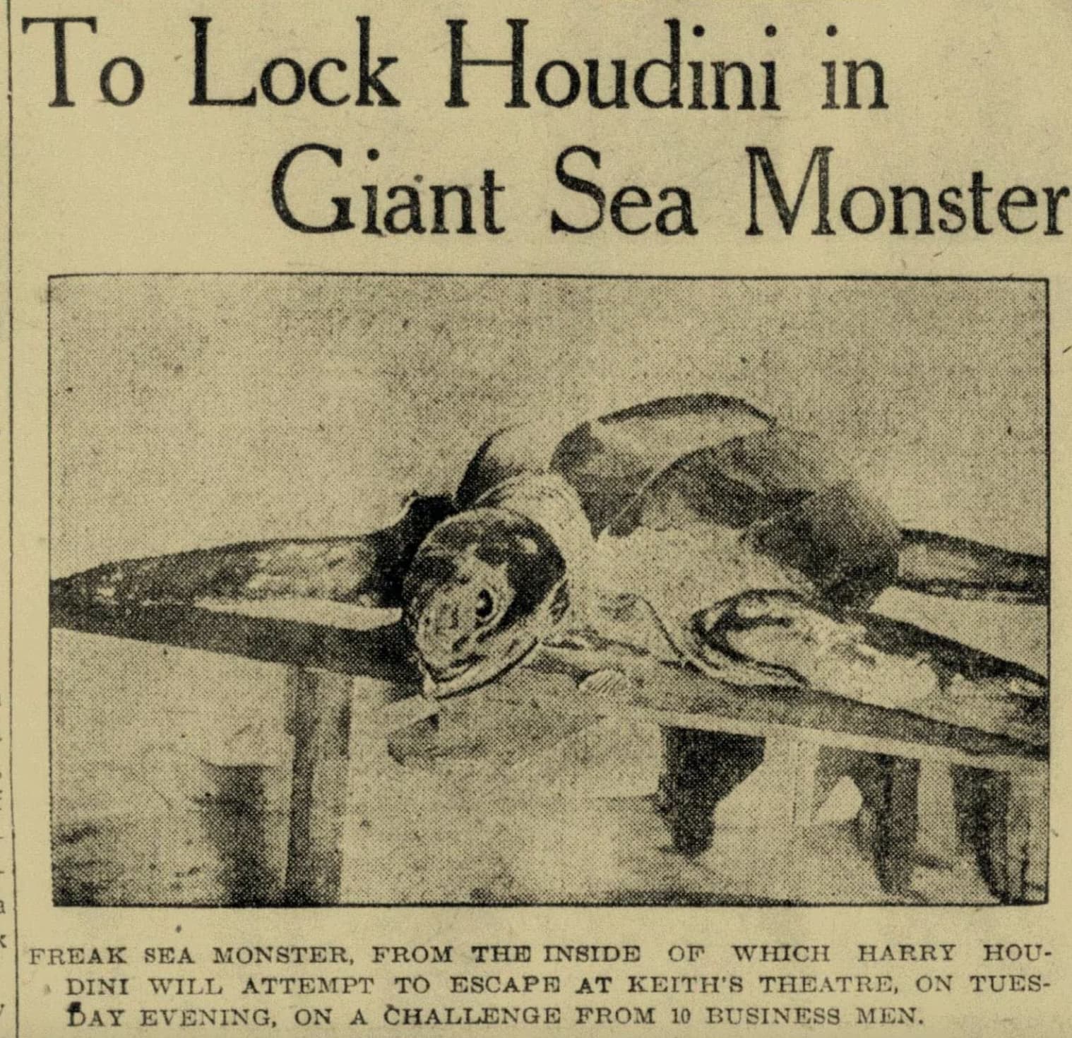 harry houdini sea turtle - To Lock Houdini in Giant Sea Monster Freak Sea Monster, From The Inside Of Which Harry Hou Dini Will Attempt To Escape At Keith'S Theatre, On Tues Bay Evening, On A Challenge From 10 Business Men.